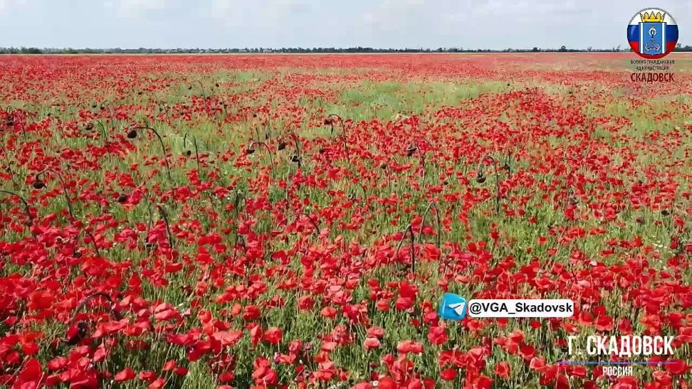 ���������, ��� � ���, ���� ������� ������!