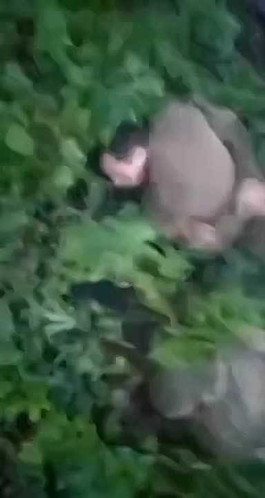 �������� �����: ��������� ��������� ������� �������� ��� ����� � ������ �������� ����������� �������