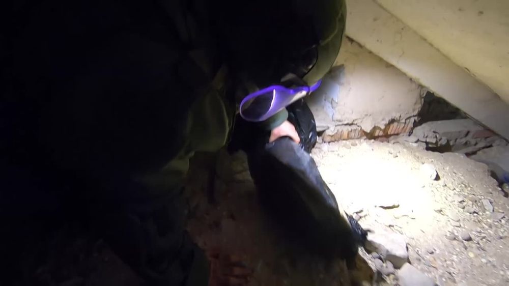 ���������� �������������� ��������� ��������� ������������ ����������� � ���������� �������