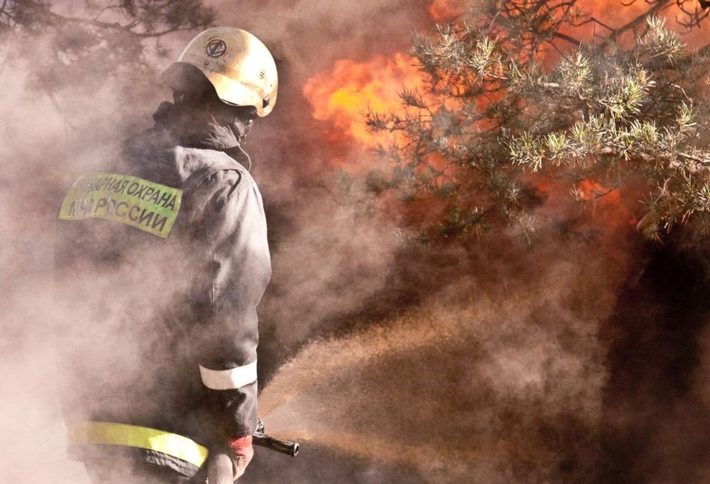 �� ��������� ����� �� ���������� ���������� ������� ��������� ��� ������ ������������ ��������� � ��� ���������� ���������