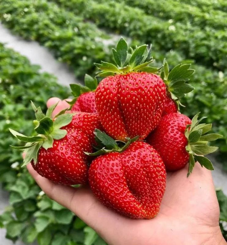 � � � � � � � �. ��� �777� ���������� �� ������ �� ������� ��������