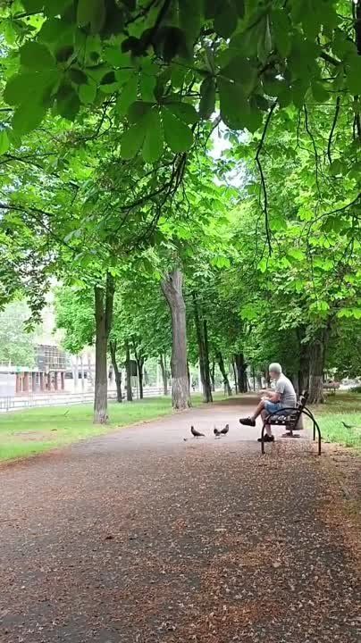 ������ ����� � ������ ���� �������