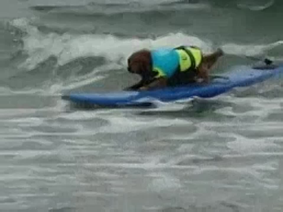 ��������� � ����� ������� ������!