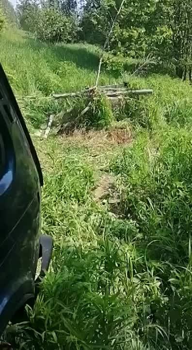 ������� � ������.... � ����������� ������� ������ �������, ������� ���������� � �������