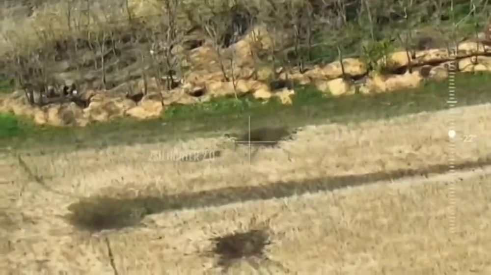 �������� �����: ������� ������������ ������� ������� ���������� �������� �������� �� ���������