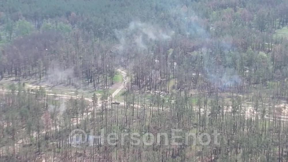 ���� �� �������: ��� ������� ��������� ������ �� ���� �������� ������ �������� � ��������� ����