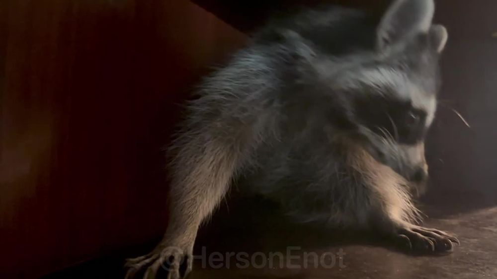 ���� �� �������: ���� ������ ���� ������, � �������� ����������