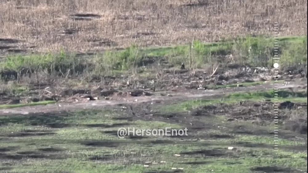 ���� �� �������: ���������� FPV-������ ������ ������������ �� ����� ������ ������������ ������