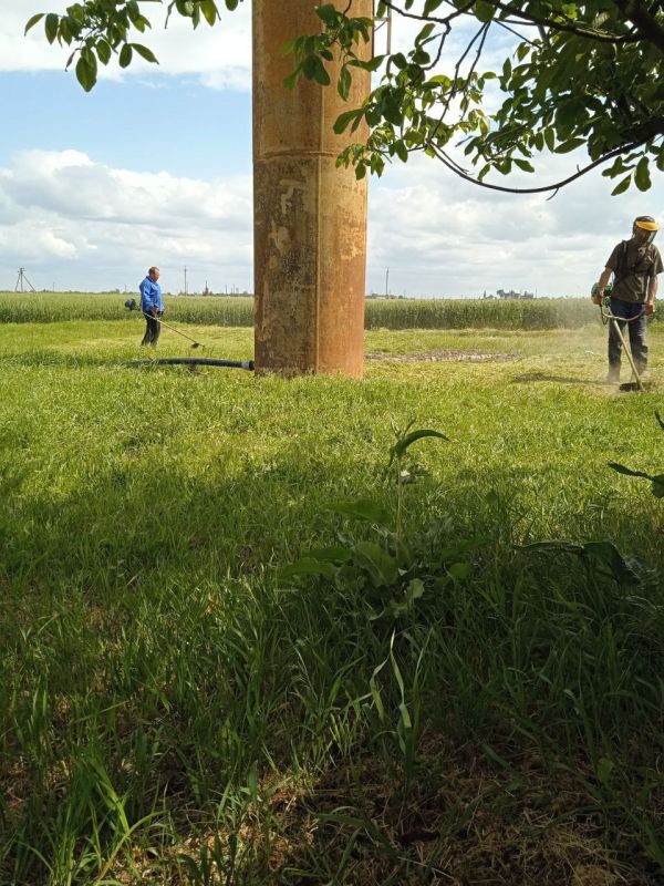 ��� ���������ѻ. ��������� ��������� ������ �������������������