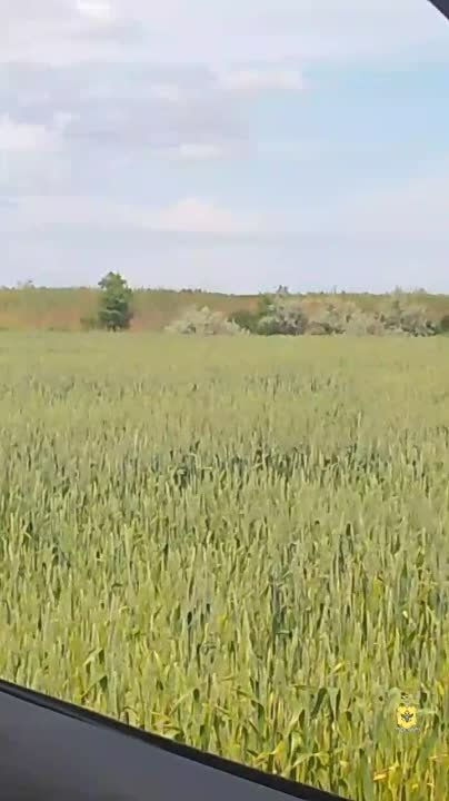 ����������� � ���������� ������� � �������� ���������� ����������, ����������� ���