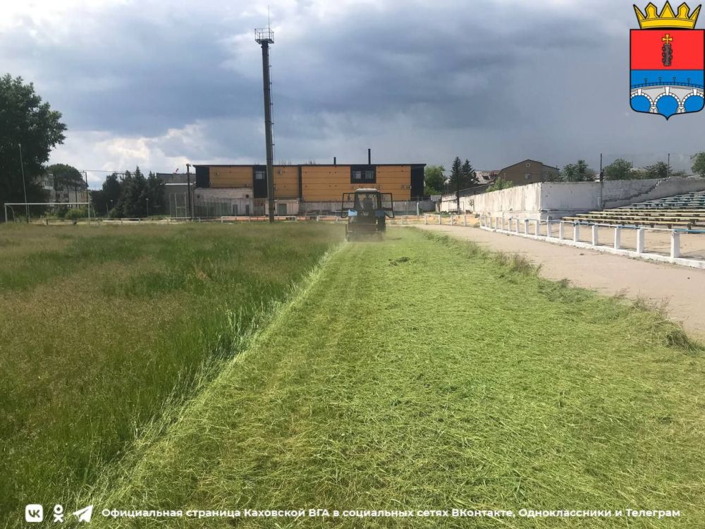 ������������� ������������ ����������� �����������