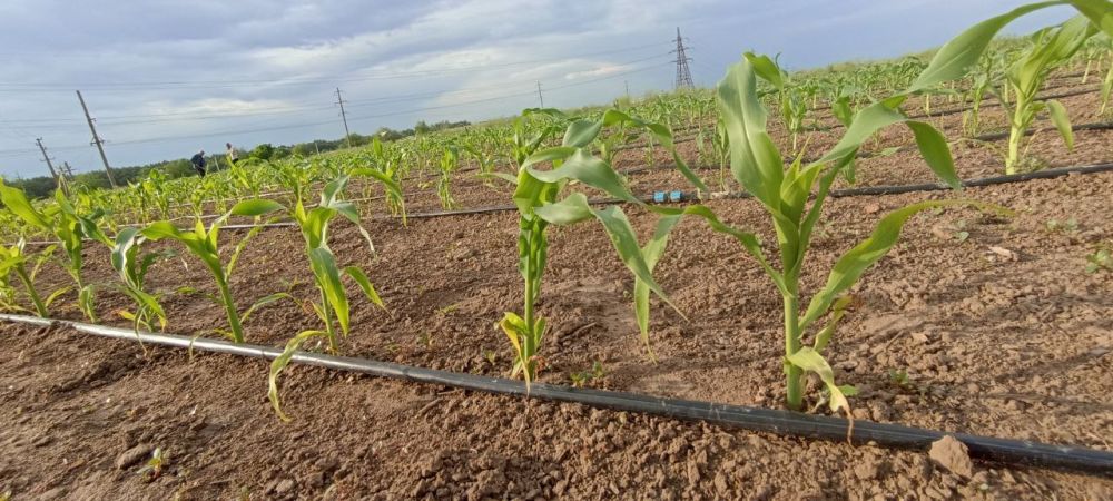 � ������ �����, �����������!