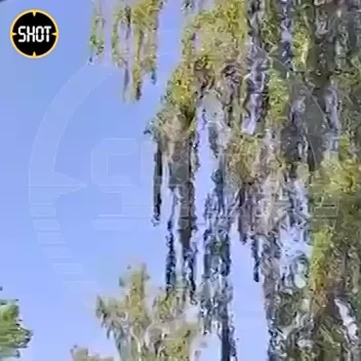 ������ ������ ���������� ����� ��� ���������