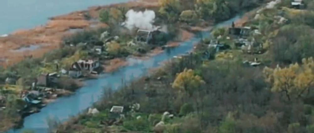 ���� ������ ZA ����� ����