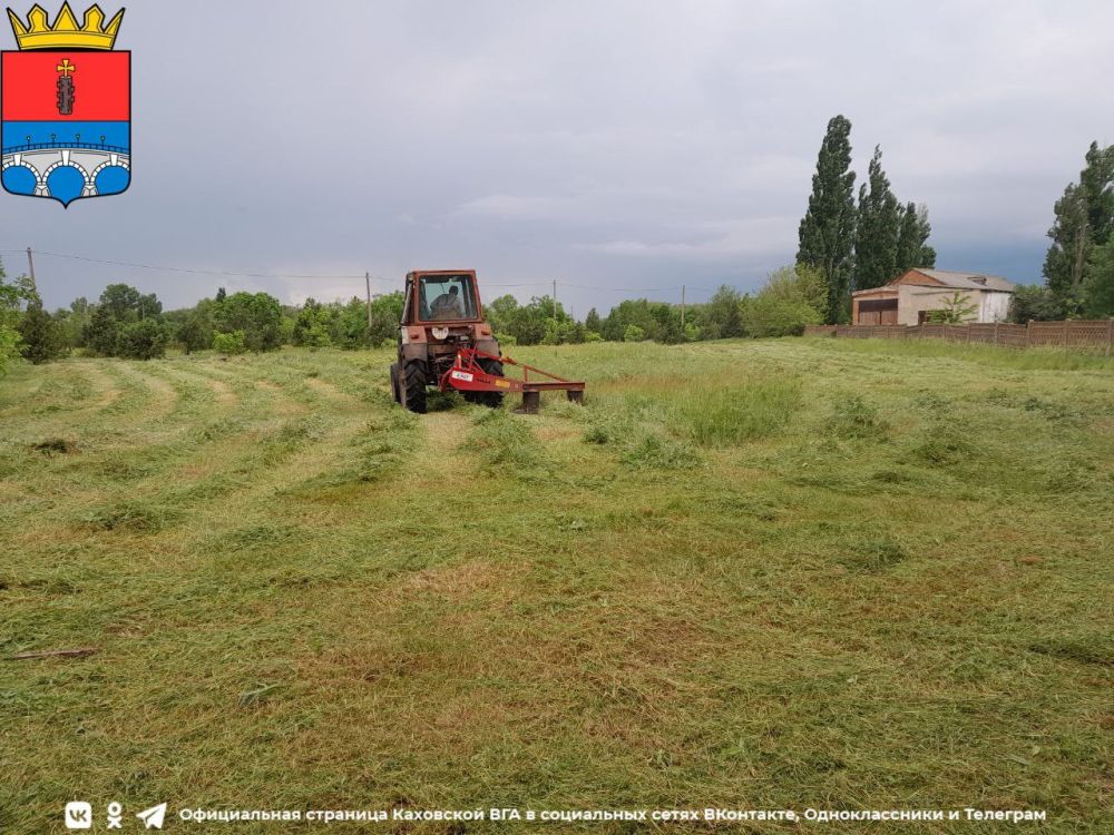 ���������� ������������ ����������� �����������