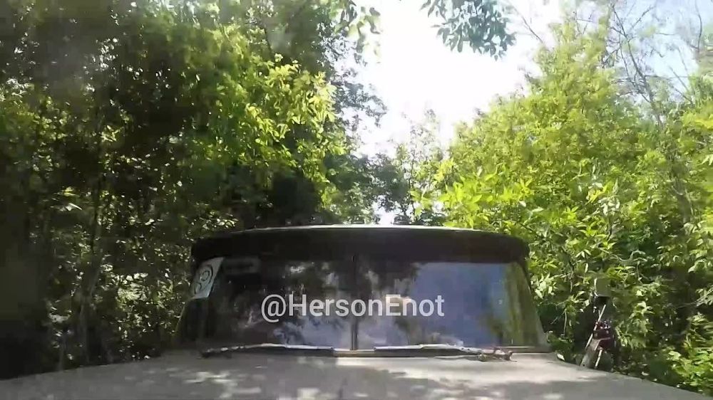 ���� �� �������: ��� � �������� ��������� �� �����