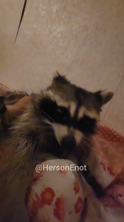 ���� �� �������: ������! ������� ���� � �������� ���!