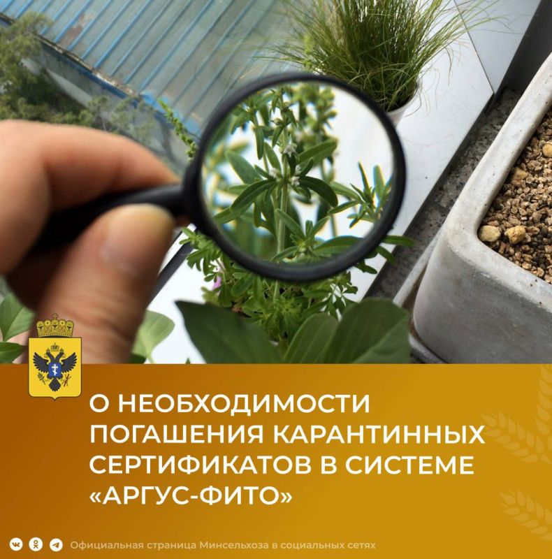 �� ����������� ������������� �������������� ��������� ��� �������������� ��� ��� ����������� ��������� ������������ ����������� � ����������� ��������������� �������������� ������� ������-����