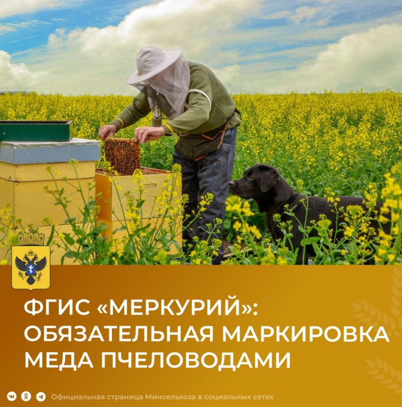 ����������� ��������������� �������������� ������� (����) ���������: ������������ ������������ ����