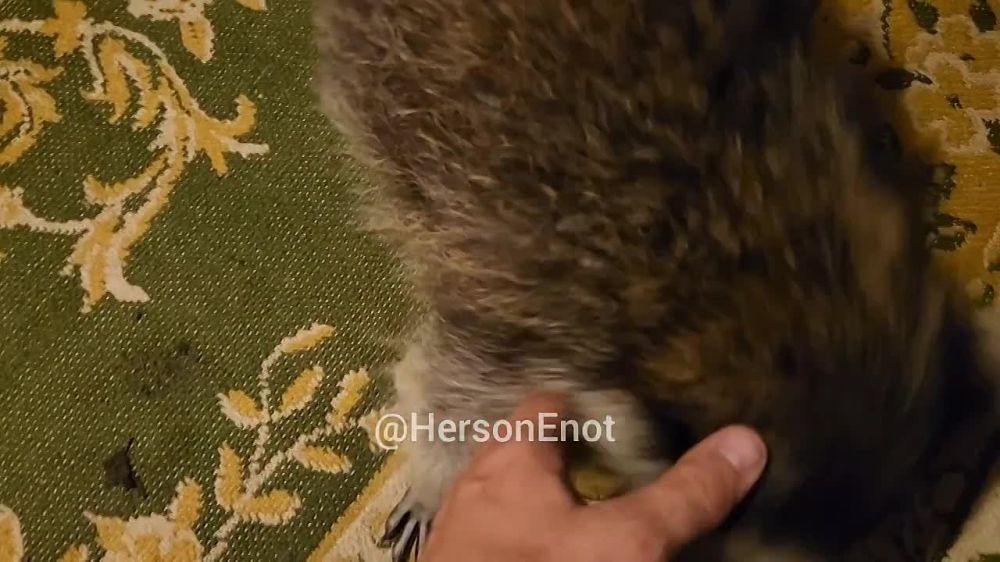 ���� �� �������: ������, ���������, ��������� �� �� ������ � �� �������