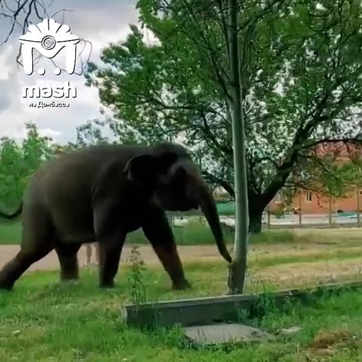 � � �������� ������� ��� ��� �� ������ "����������" ������ �� �������� �����