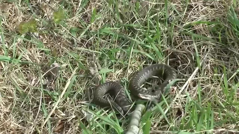 �������� ���������� ������� ������������� �� ��������� ������ ������, ������ � ����