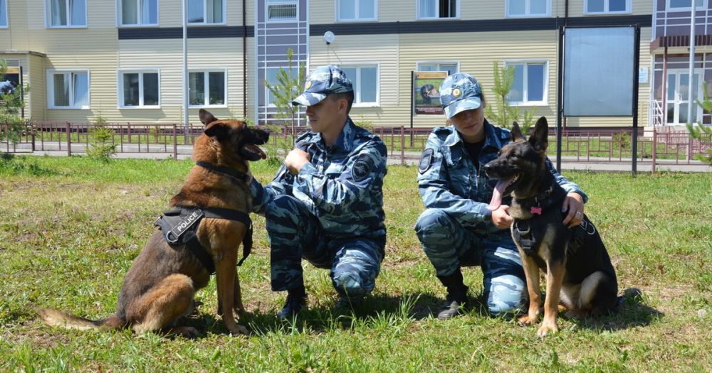 ���������� ���������� ����������� � ������� ���������