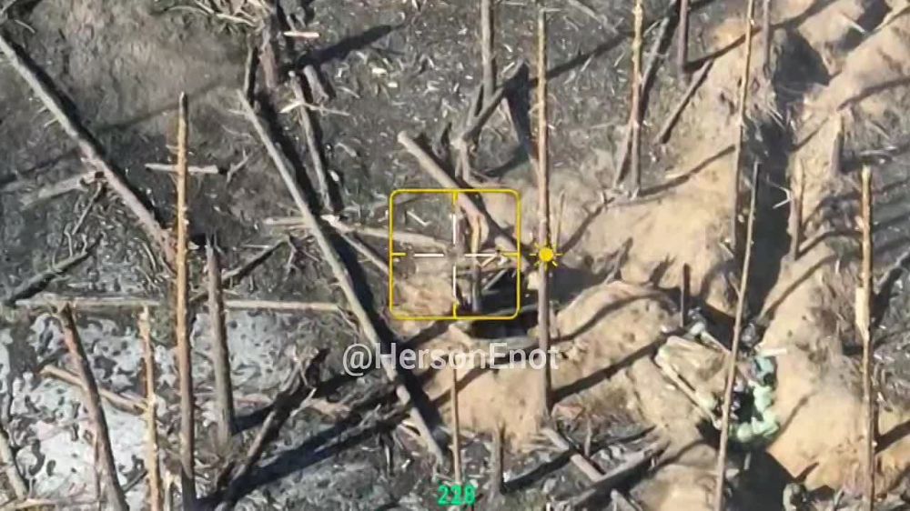 ���� �� �������: �������� ����� �� ��������� �����������