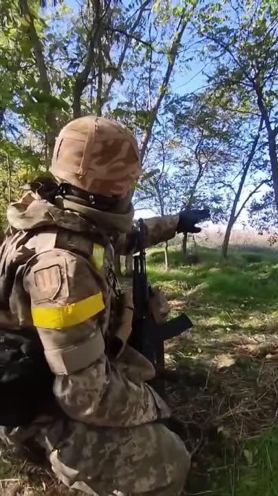 ������ �������: ����� �� ������� ����. ������ �� ������ ��������� � ���������� �������