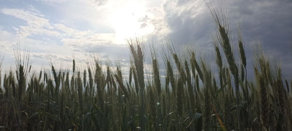 ������� �������������!. �������� ��� � ��������� ����������! ����� ������� �� �� ������� ��� � �������. ����� ������ �������� ���������� ���� ����!