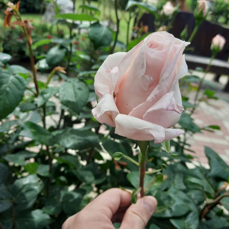 ��� � ���� ���������.. ������� ������ ��������