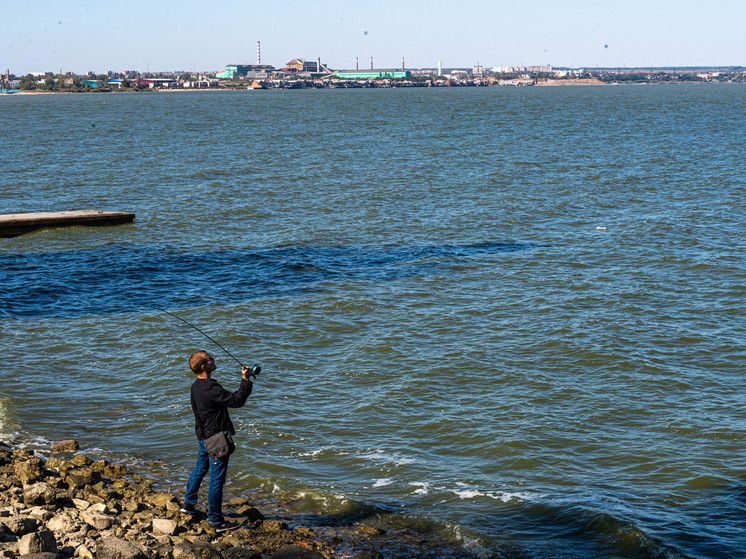 ������� ������������� ���������� ����� ������� � �������� �� ��������� ����