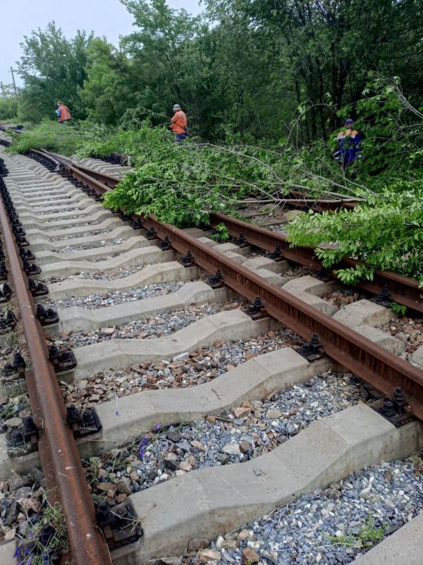 ���������� ���� � ���������� ��������� ��� ������������ �������� ������� �� ����������