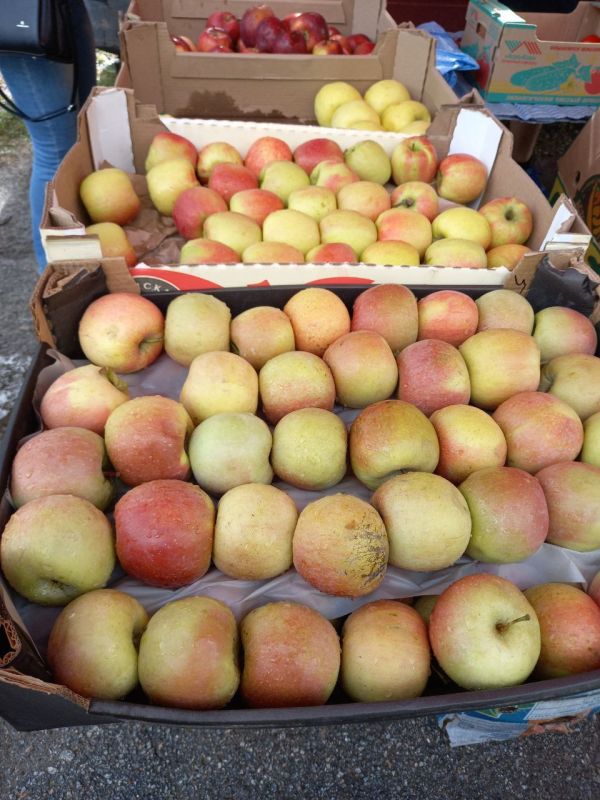 � ���� �������� ���������� �������