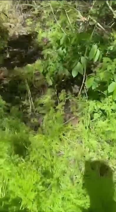 ���������� �����������. ����� �����������