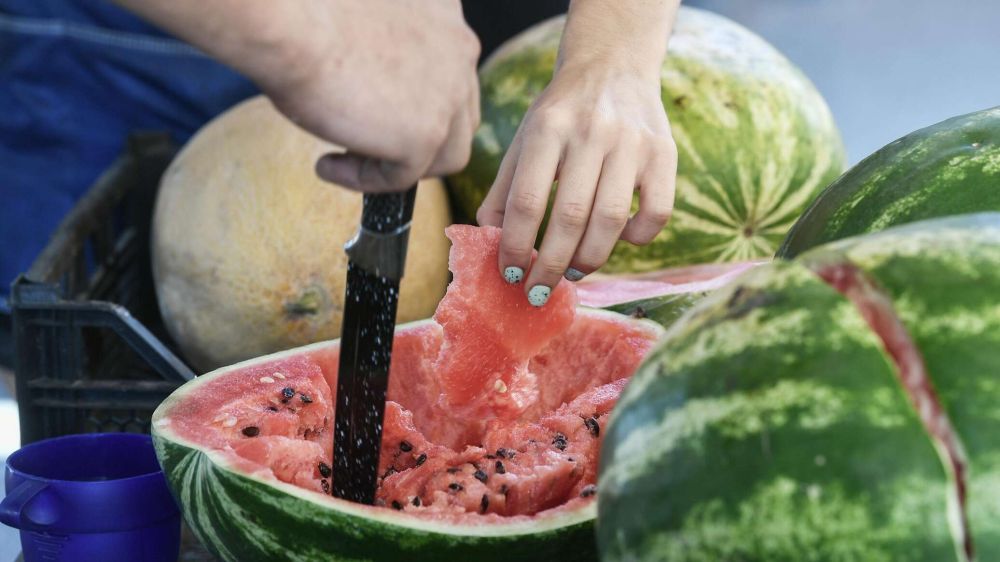 ������ �����! ����� ������ ���� � ���������� ������� � 2023 ����