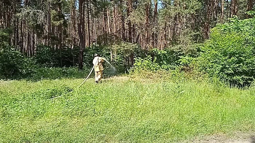 �������. "����������", ����� ���� ���� ������, ������������ ���������