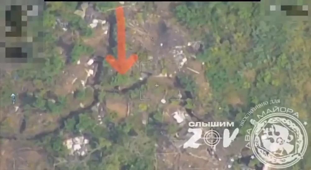 �������� �����: ������� ������������ ������� ������� ���������� ������� �������� ��� �� ���������