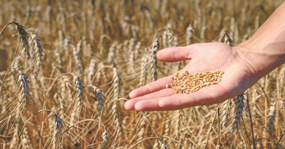 �� ���������� �������� �������� �������� ��� �������� � �������� �����������