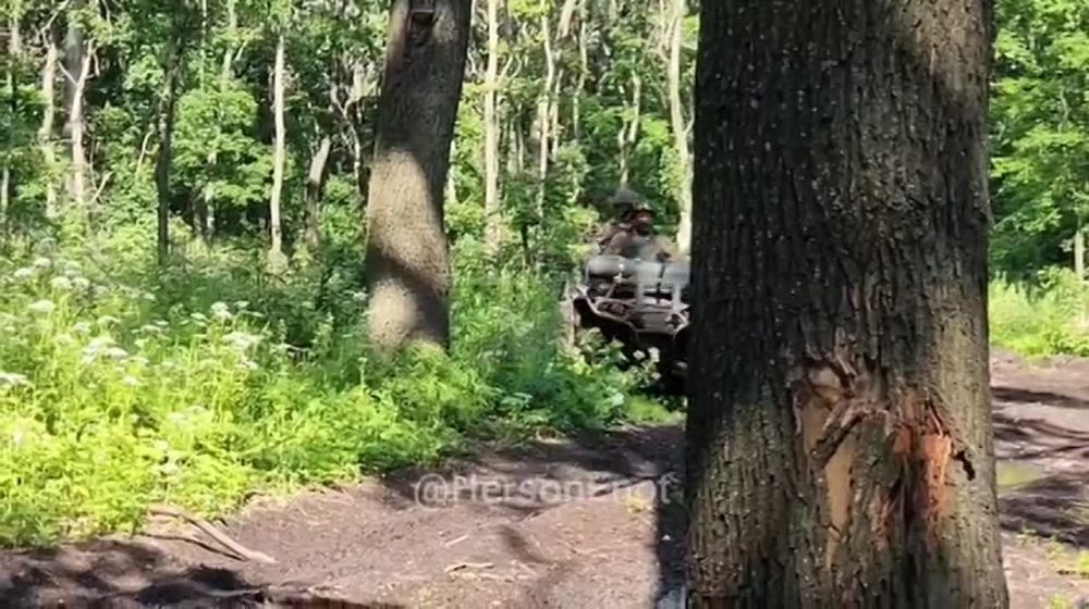 ���� �� �������: �������� ������� ���������� �������