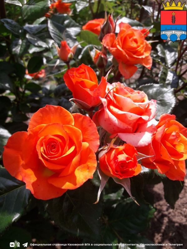 ������� ��� � ����������������� ��