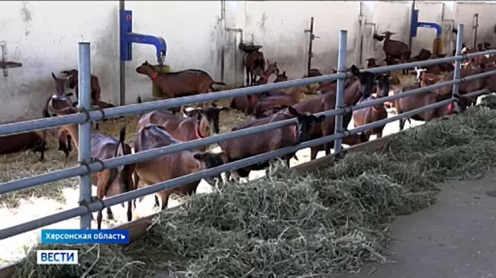 ������ ����������: ������� ������� ��������� �������� ����� �������� ��� �������� � ����������� ����������������� ��������� ���������� �������