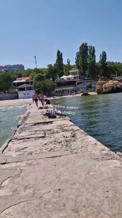 � ����� ����� ����� ������ � ������ �������� � ���� �������� �������