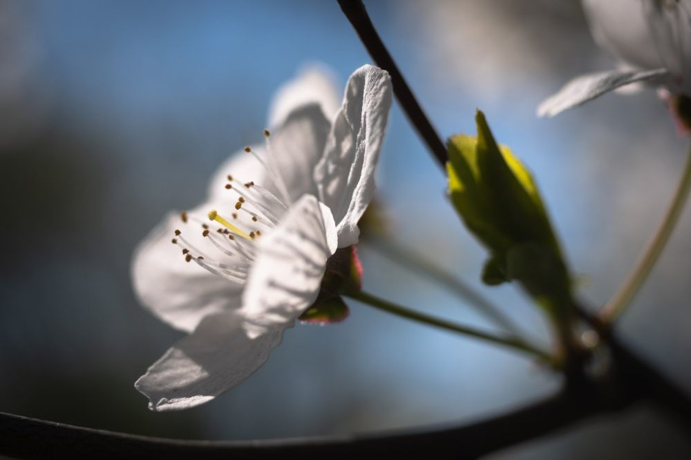 200 ����������� ����� �������� ������ � ��������� �� �������� ����� ������