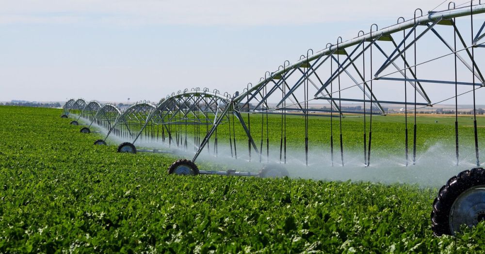 ������� � ������ ���������� ���� �����������