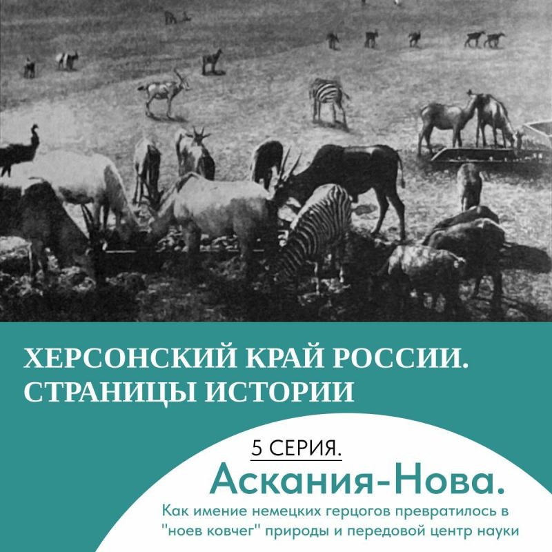 ���������� ���������� ����������� �� ��������� ������� �������-����� � ���� ������ ������