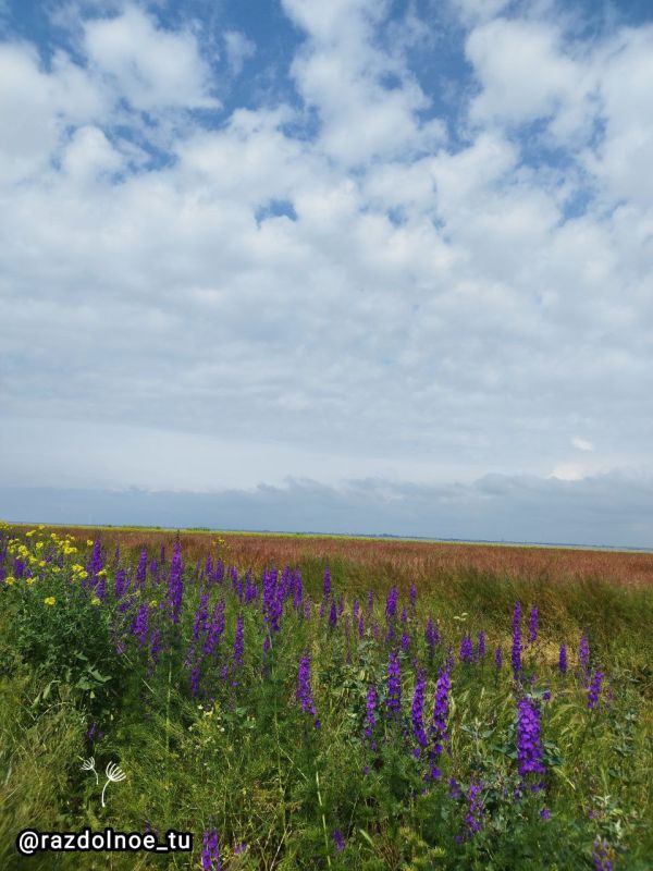 ����������!. ������� ��� ���� � ������ ����������! ������� �� ����� ��������� � � ����� �����!