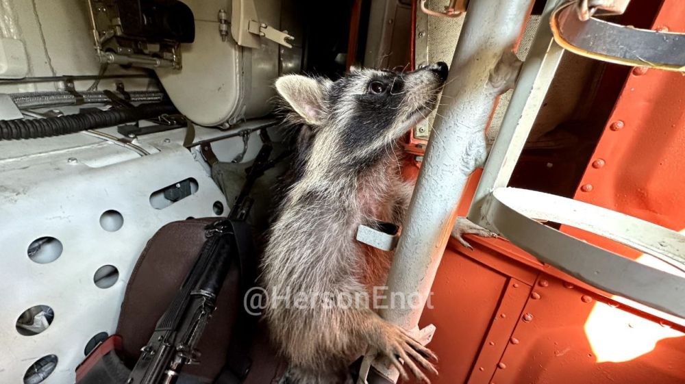 ���� �� �������: ������� ���� � �������� ���, ������!