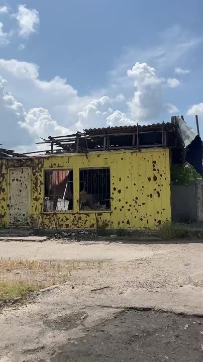 ����� �������� �� ������, �� �� ��� ���� ��������