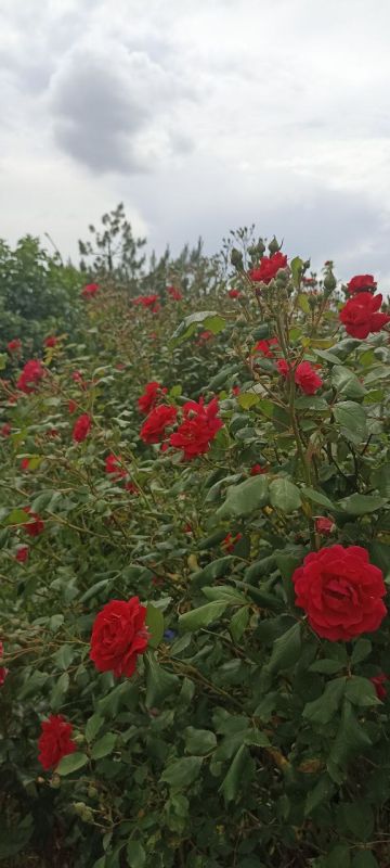 �������� � �������� ���� � ������������� ��!